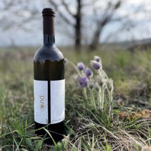 Sauvignon blanc 2021