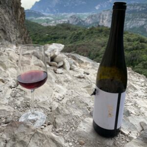 Cabernet Sauvignon 2020